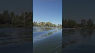 Two boats almost crashing on the Delta kayakbassfishing bassfishing fishing [upl. by Bear993]