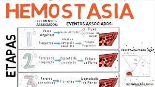 Hemostasia Coagulação do Sangue [upl. by Verdi]