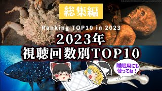 【睡眠用・ゆっくり解説】2023年視聴回数別ランキング！総集編【広告最初のみ 途中広告なし】 [upl. by Vickie595]