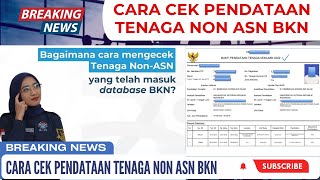 CARA MENGECEK TENAGA NON ASN YANG TELAH MASUK KE DATABASE PENDATAAN BKN [upl. by Aynotan]