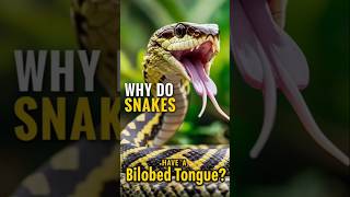 Why Snakes have Split tongueshorts facts [upl. by Abate]