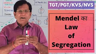 Mendels First Law Law of Segregation  TGTPGTKVSNVS [upl. by Wardle]