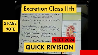 EXCRETORY PRODUCT AND THEIR ELIMINATION  CLASS 11th  NCERT QUICK REVISION FOR NEET 2024 [upl. by Rondon]