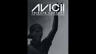 Avicii  The Nights Live Vocals by Nick Furlong [upl. by Asirb]