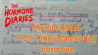 Thyrocalcitonin TCT Hormone Functions and Working  Thyroid Gland [upl. by Philis]