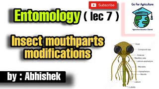 Mouthparts modifications  Insect mouth  Agriculture  Entomology lec 7  Go For Agriculture [upl. by Auqinu]