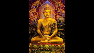 Dhammapada धम्मपद Pali with Hindi Translation  No Ads [upl. by Eustashe]