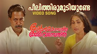 Peelithirumudiyunde Video Song  Achan Kombathu Amma Varampathu  Chithra  Malayalam Movie Song [upl. by Oralia675]