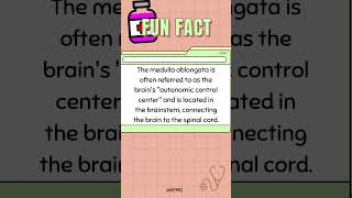 🧠 This Brain Part Runs Your Life on Autopilot—Do You Know Which One mededtrivia quiz triviamania [upl. by Ammamaria885]