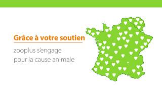 Zooplus France Belgique  Journée mondiale des animaux Octobre 2018 [upl. by Kenon956]