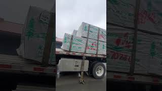 Load21 Lumber Lackawanna NY  Watertown NY flatbedtrucking mercertransportation [upl. by Nivets]