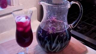 How To Make A Spiced Sorrel Drink From The Caribbean [upl. by Cormick201]