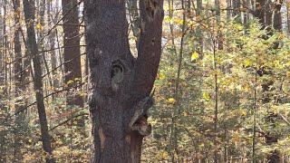 Exploring Maudslay State Park [upl. by Griffiths]