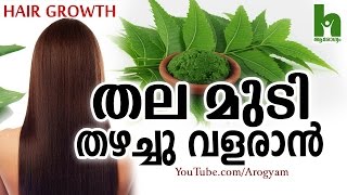 മുടി പെട്ടെന്ന് തഴച്ചു വളരാൻ ഈ ഇല  Latest malayalam health tips [upl. by Cristal]