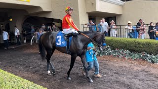 Bob Baffert Trainee Debuts and Wins Without a Challenge at Del Mar [upl. by Emalia]