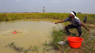 Fishing Video  Traditional boys prefer to admit fishing in small canals  Best hook fishing [upl. by Selinski]