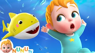 Baby Shark Song  Nursery Rhymes amp Kids Songs  NuNu Tv Baby Songs [upl. by Varuag]