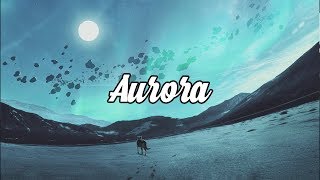 Aurora Beautiful Chillstep Mix 2017 [upl. by Elgar]