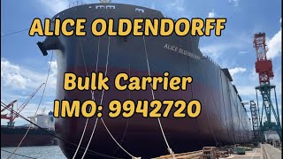 ALICE OLDENDORFF Bulk Carrier IMO 9942720 [upl. by Etnuahs]