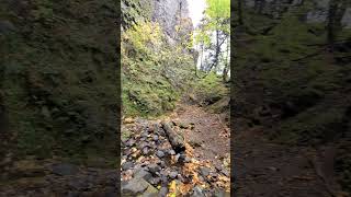 Cabin Creek Falls Starvation Creek State Park Oregon [upl. by Airehc]