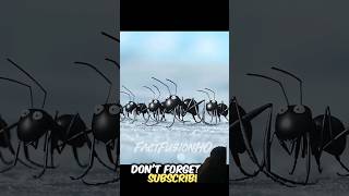 Red Ants Vs Black Ants 🔴⚫ forpage foryou trending short viralshort facts animation cartoon [upl. by Filip]