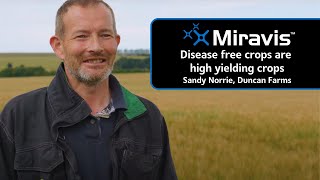 MIRAVIS® Disease free crops are high yielding crops [upl. by Eciral]