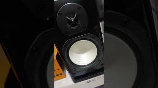 Speaker ONKYO DN10BX Testing Short [upl. by Atter]