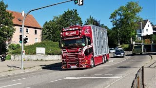 Schnell Viehhandel und Transport  Scania Streamline [upl. by Irat]