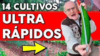 14 PLANTAS que puedes COSECHAR en menos de 90 días y UNO que te sorprenderá [upl. by Mccollum41]