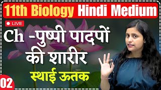 11th Biology  Ch6  L2  पुष्पी पादपों की शारीर  स्थाई ऊतक  By Renu Maam [upl. by Dinesh]