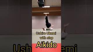 Ushiro Ukemi with slap  Aikido  front view [upl. by Ingvar]