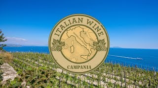 Wine Passport  Campania Region  Mondays with Mary Ep 222 [upl. by Schluter]