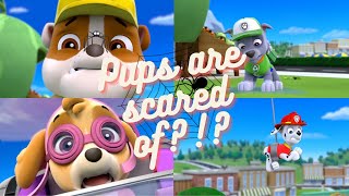 Paw patrol  Pups are scared of [upl. by Nileek]