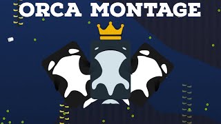 Orca Montage  Deeeepio [upl. by Elfont137]