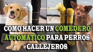 ¿Como hacer un DISPENSADOR de COMIDA para perros callejeros  Cheke 97 [upl. by Sadie]