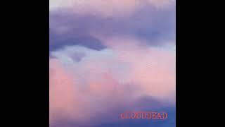 Daily Album 348  cLOUDDEAD  cLOUDDEAD [upl. by Nylsej320]