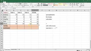 Spreadsheet Basics  Microsoft Excel [upl. by Aneerhs]