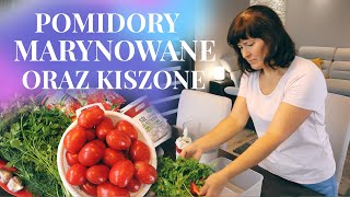 Marynowane pomidory w 24 godziny Kiszone pomidory [upl. by Nallad]