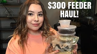 300 FEEDER HAUL  Feeder Unboxing [upl. by Vergos784]