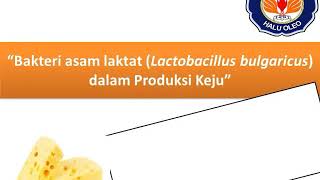 Bakteri Asam Laktat Lactobacillus bulgaricus dalam Produksi Keju quotRISKI HUL AKMA MALIK F1C116112quot [upl. by Ecyla]