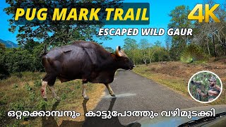 Parambikkulam Forest Trekking 4K  Pug Mark Trail [upl. by Htebazie]