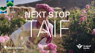 Next Stop  Season 1  Visit Taif [upl. by Dosh]