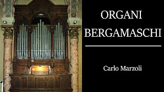 Stefano Bertuletti Offertorium Signore di spighe indori  Organo Marzoli Bonate Sotto [upl. by Conway]