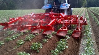 GRIMME GH 6 Eco  Ridging Hiller [upl. by Ahsinet831]