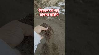 किसान को अब सोचना चाहिये 💯 वर्मी कंपोस्ट खाद agriculture farming vermicompost [upl. by Ola]