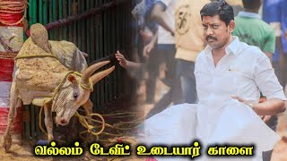 வல்லம் டேவிட் உடையார் காளை  Thanjai Jallikattu King Vallam David Udayar Bull [upl. by Iborian]