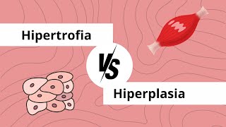 Hipertrofia no es igual que hiperplasia [upl. by Shapiro]