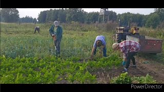 kopiemy wybieramy Odra idzie w górę  bardzo ciężkie dni [upl. by Aliet]