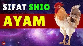 Kamu 🐔 SHIO Ayam Tonton WATAK amp SIFAT Shio Ayam di Video ini [upl. by Nnaarat630]