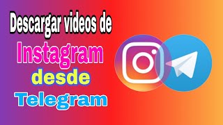 Cómo descargar videos de Instagram con Telegram [upl. by Murphy540]